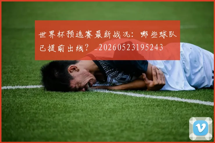 世界杯预选赛最新战况：哪些球队已提前出线？_20260523195243