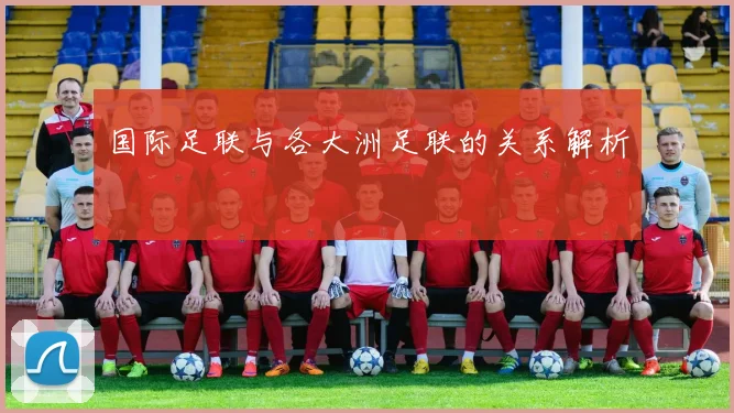 国际足联与各大洲足联的关系解析