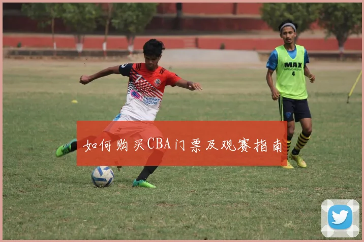 如何购买CBA门票及观赛指南