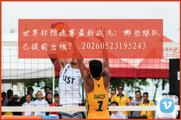 世界杯预选赛最新战况：哪些球队已提前出线？_20260523195243